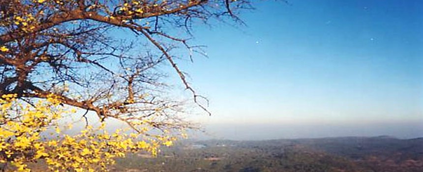 Panchmarhi Hills