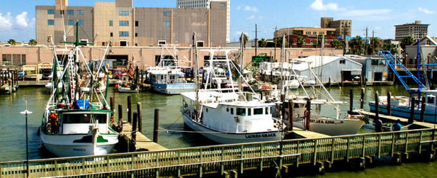 Galveston Harborside