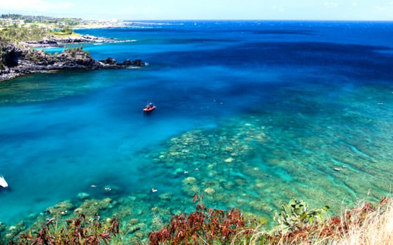 Honolua Bay Maui